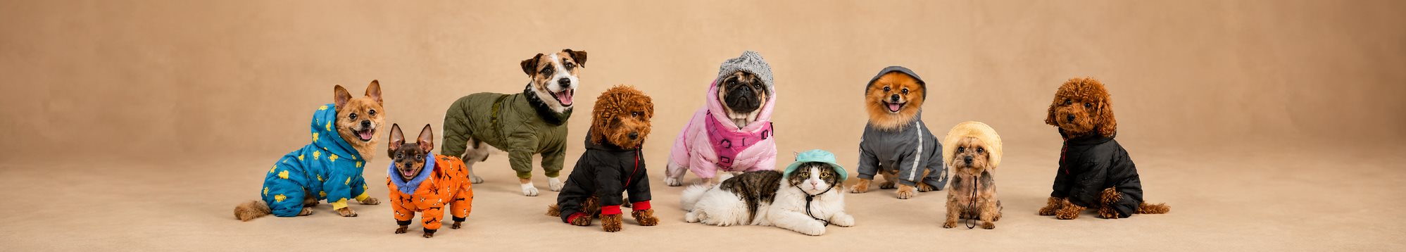Питомцы в одежде Gobetters animals